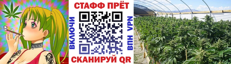 Хочу наркоту Курчалой ГАШИШ  СОЛЬ  мега сайт  Меф 