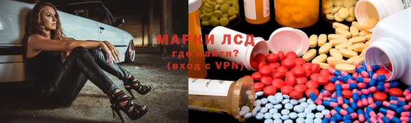 гашик Алексин