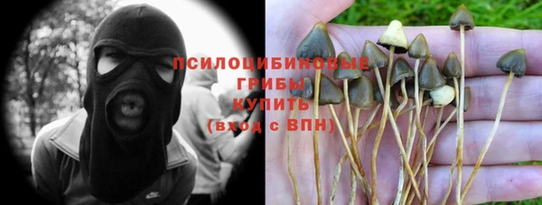 гашик Алексин