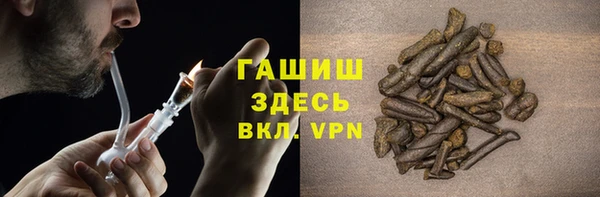 гашик Алексин