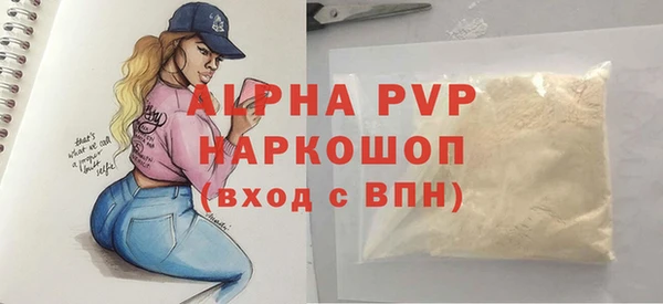 гашик Алексин