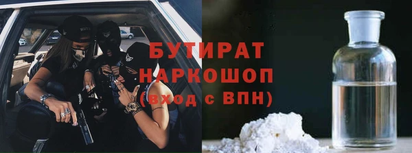 гашик Алексин