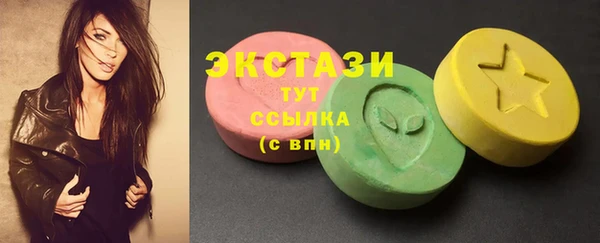 гашик Алексин