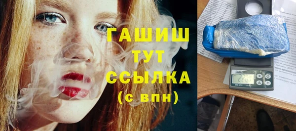 гашик Алексин